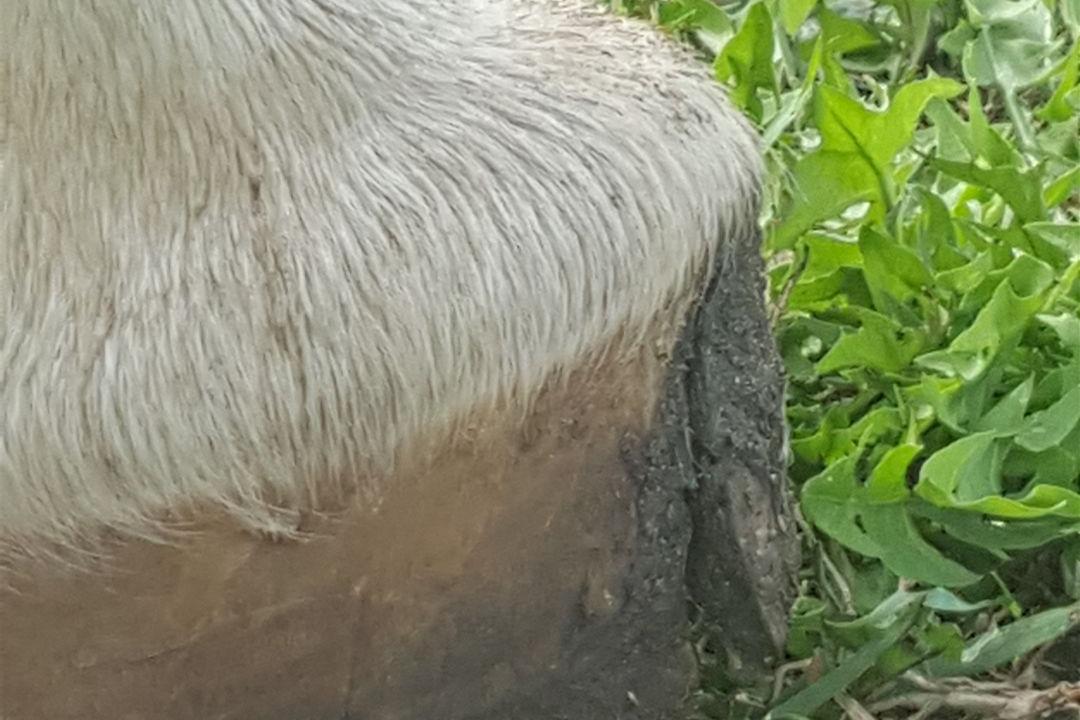 20180717_095355