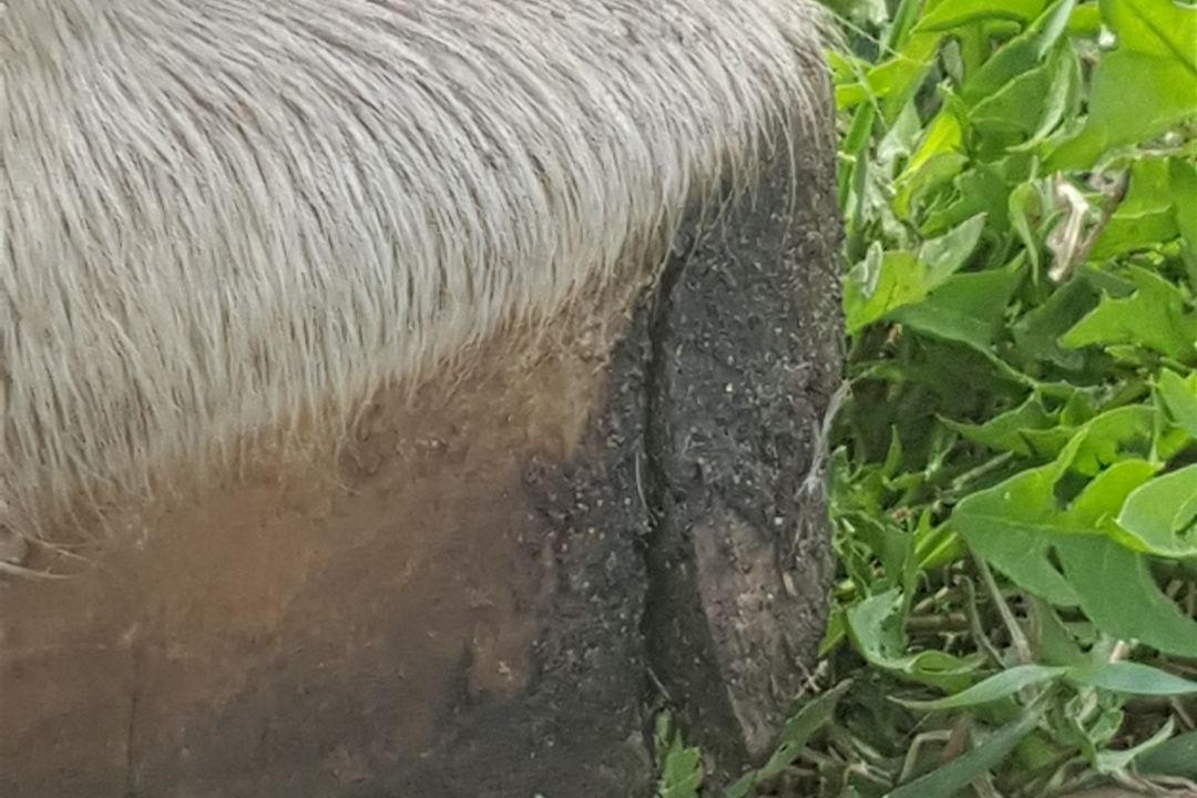 20180717_095400