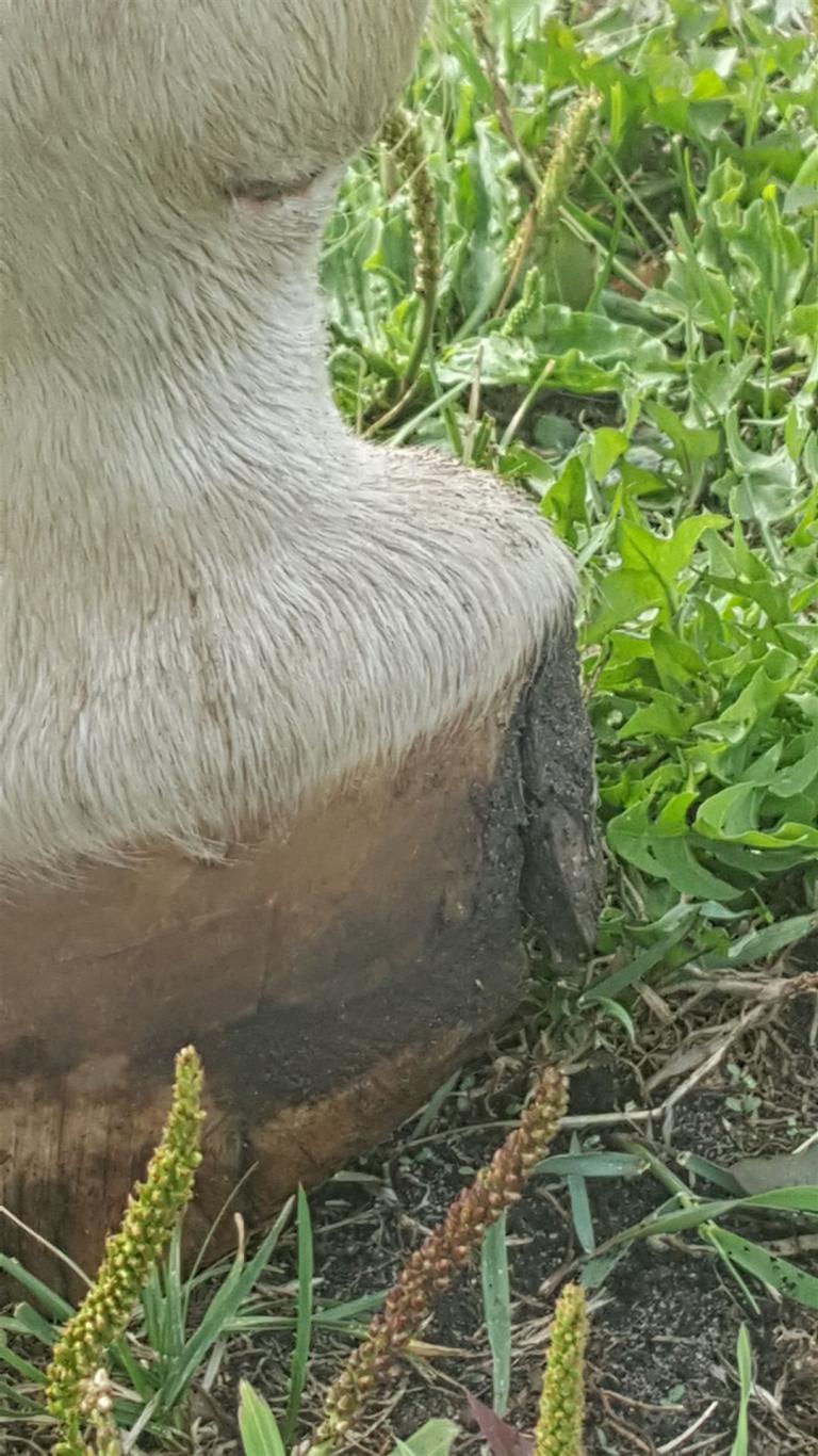 20180717_095355